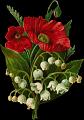 fleurs et nature (121)